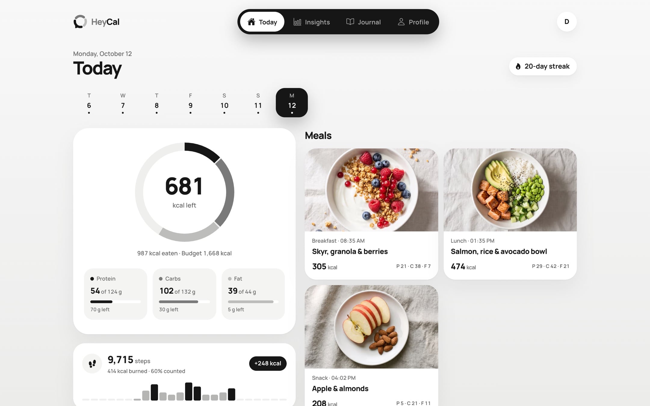 HeyCal web journal: today, meals and steps